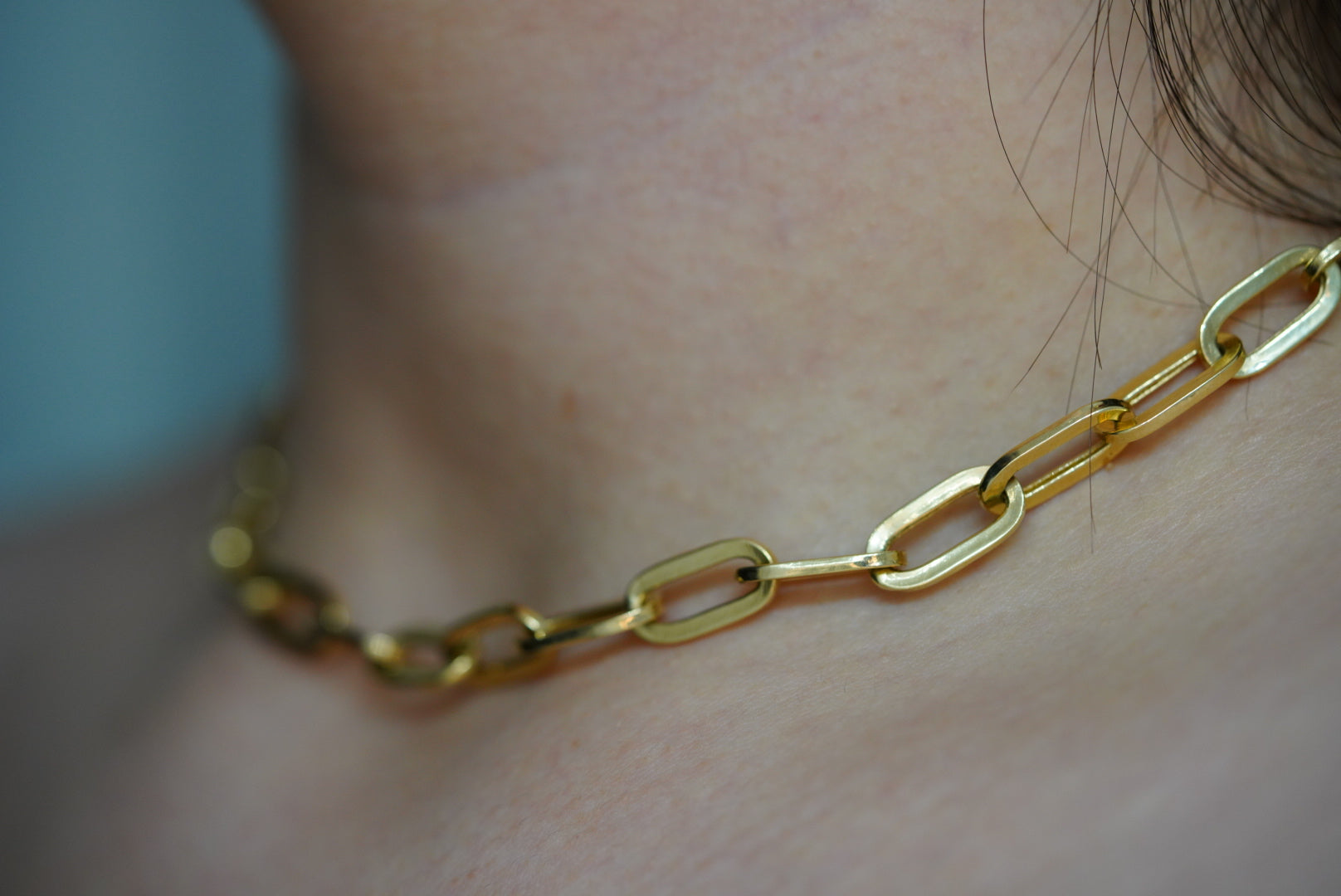 14k Clip Set - Golden Link