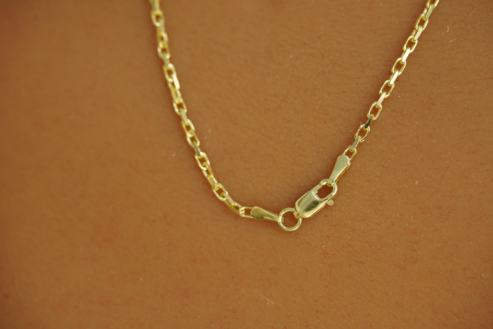 14k Cornicello Necklace