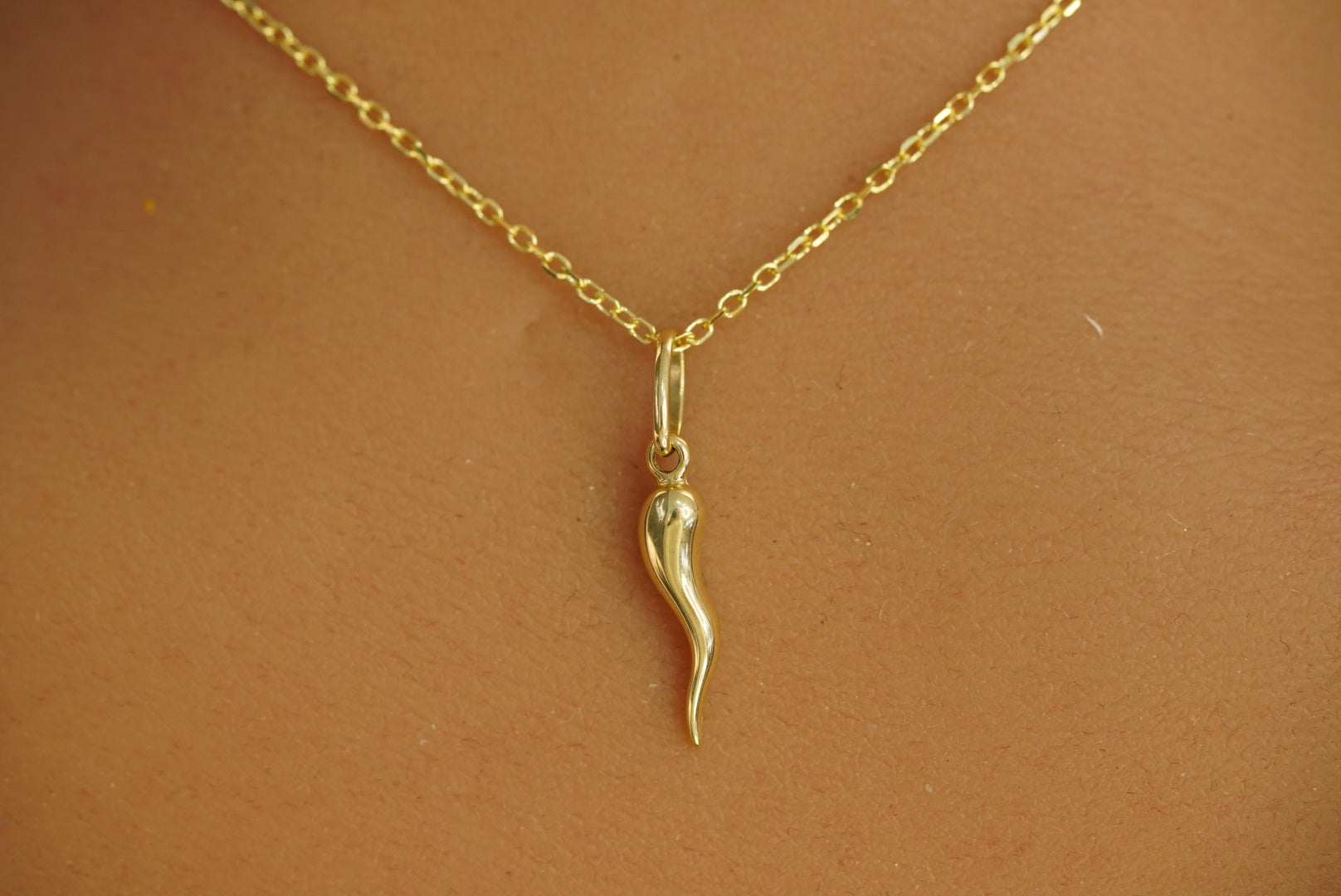 14k Small Cornicello Necklace