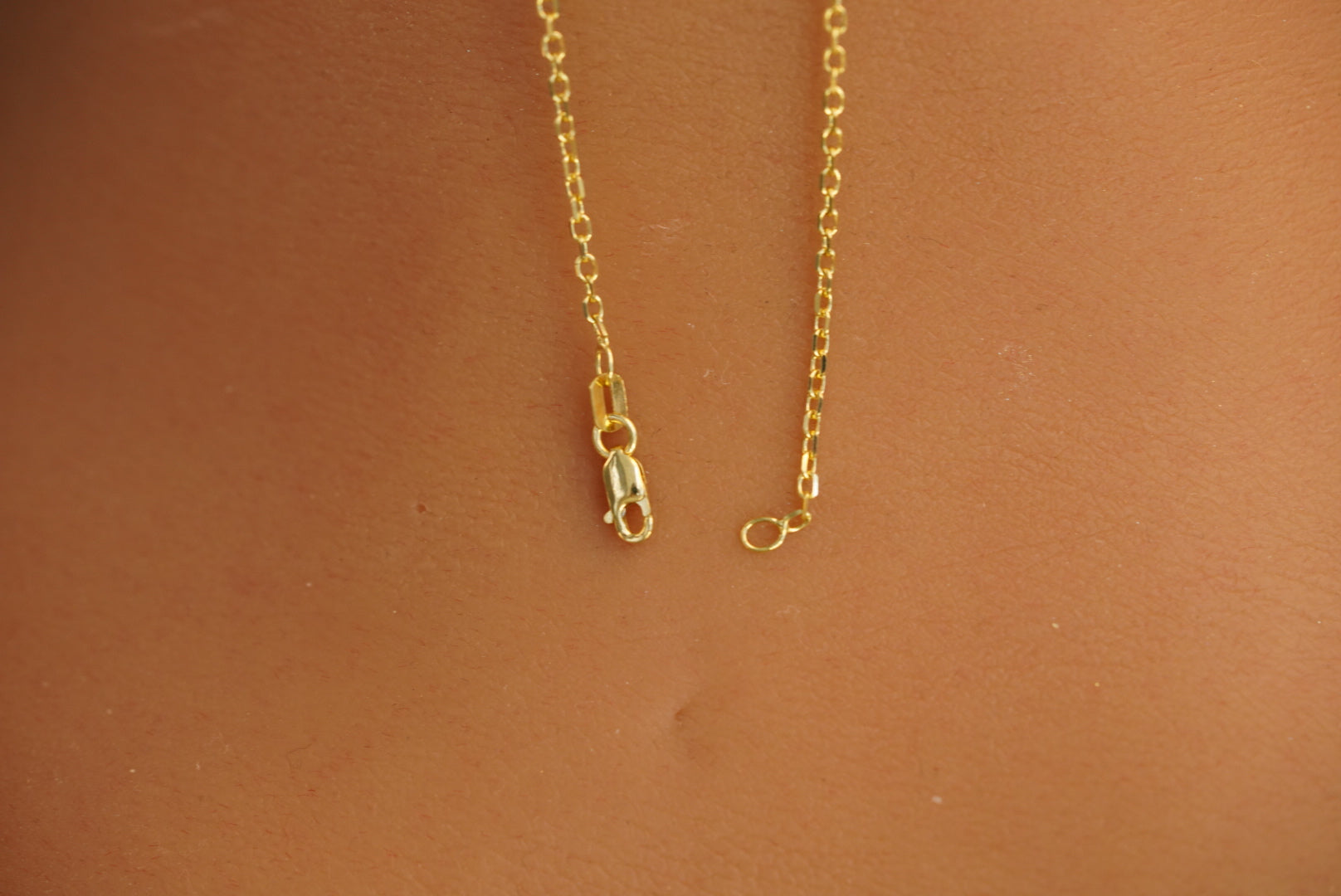 14k Lucky Charm Necklace