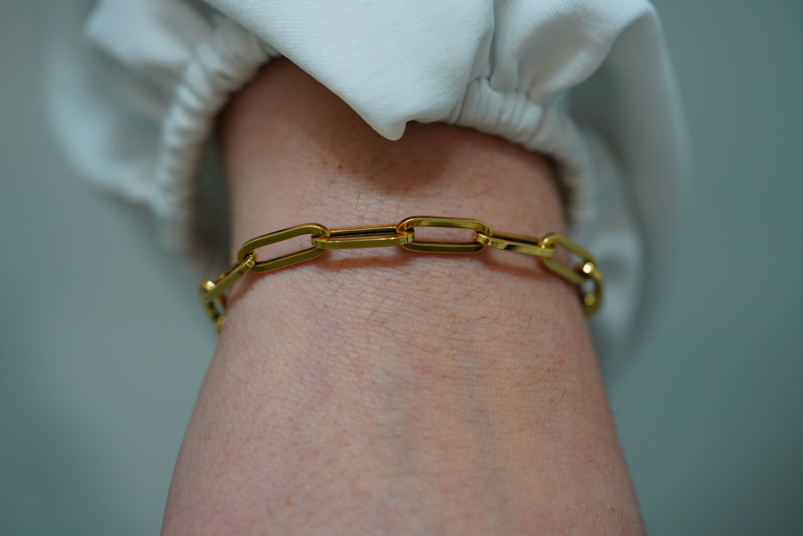 14k Clip Set - Golden Link