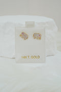 14k Earrings - Shiny Phant