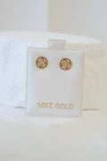 14k Earrings - Flower Circled