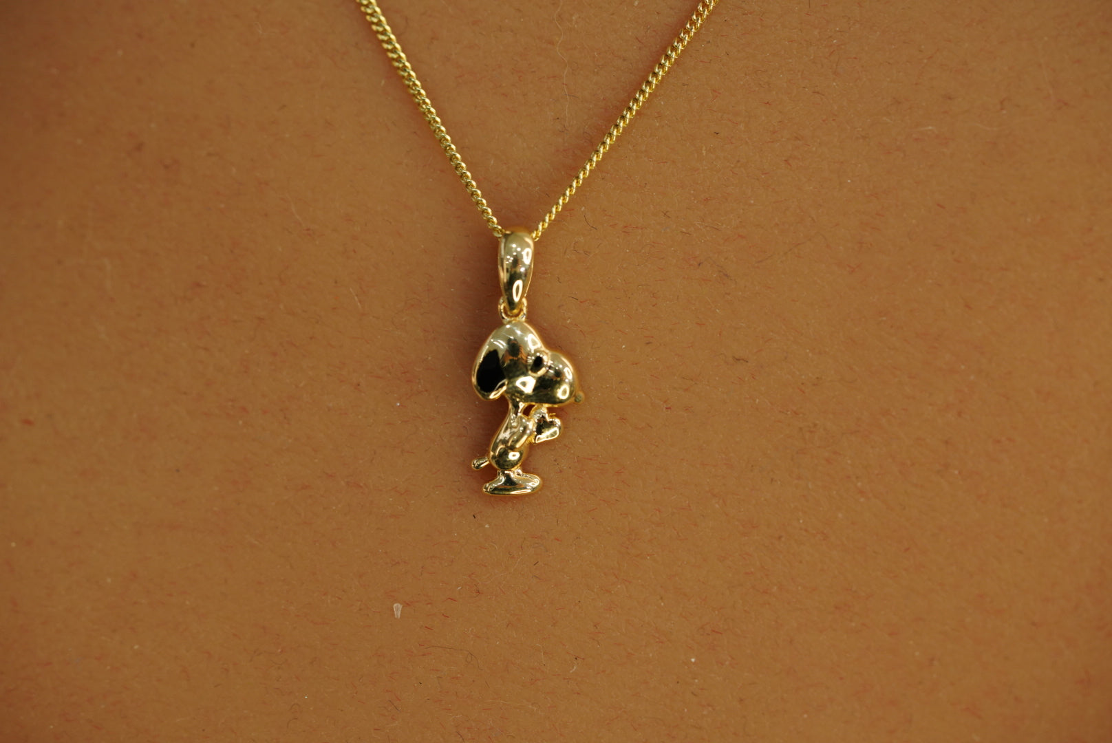 14k Dog Chain with Pendant