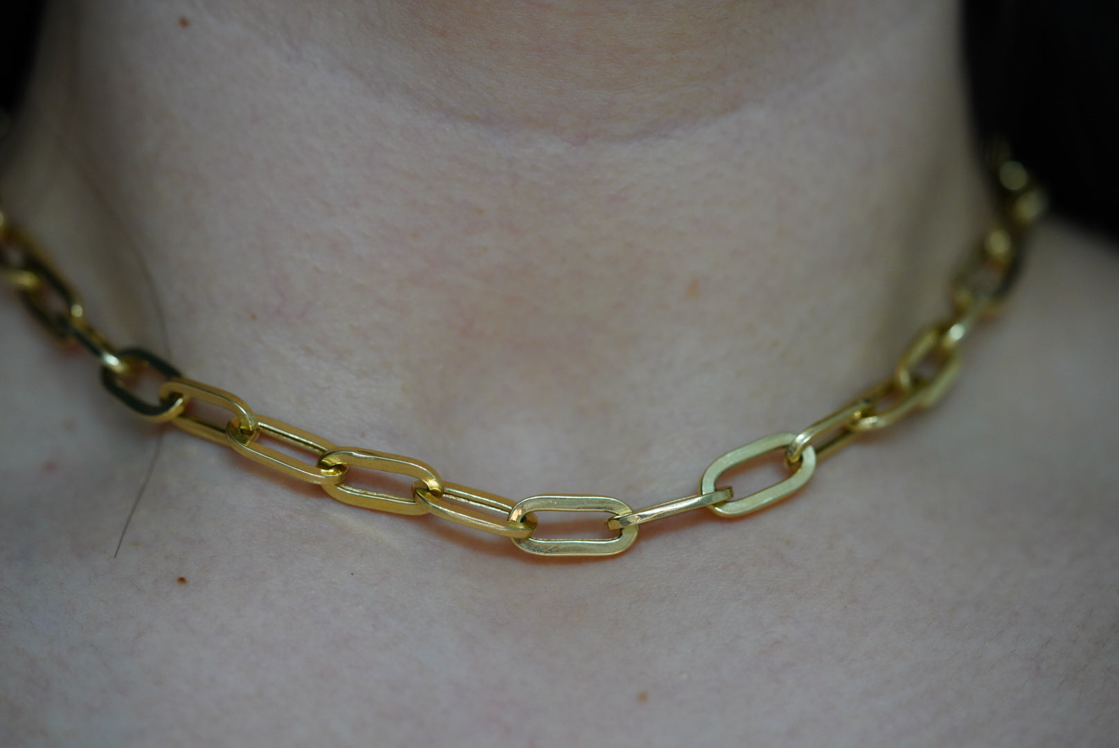 14k Clip Set - Golden Link