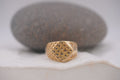 14k Men’s Ring - Eternal Valor