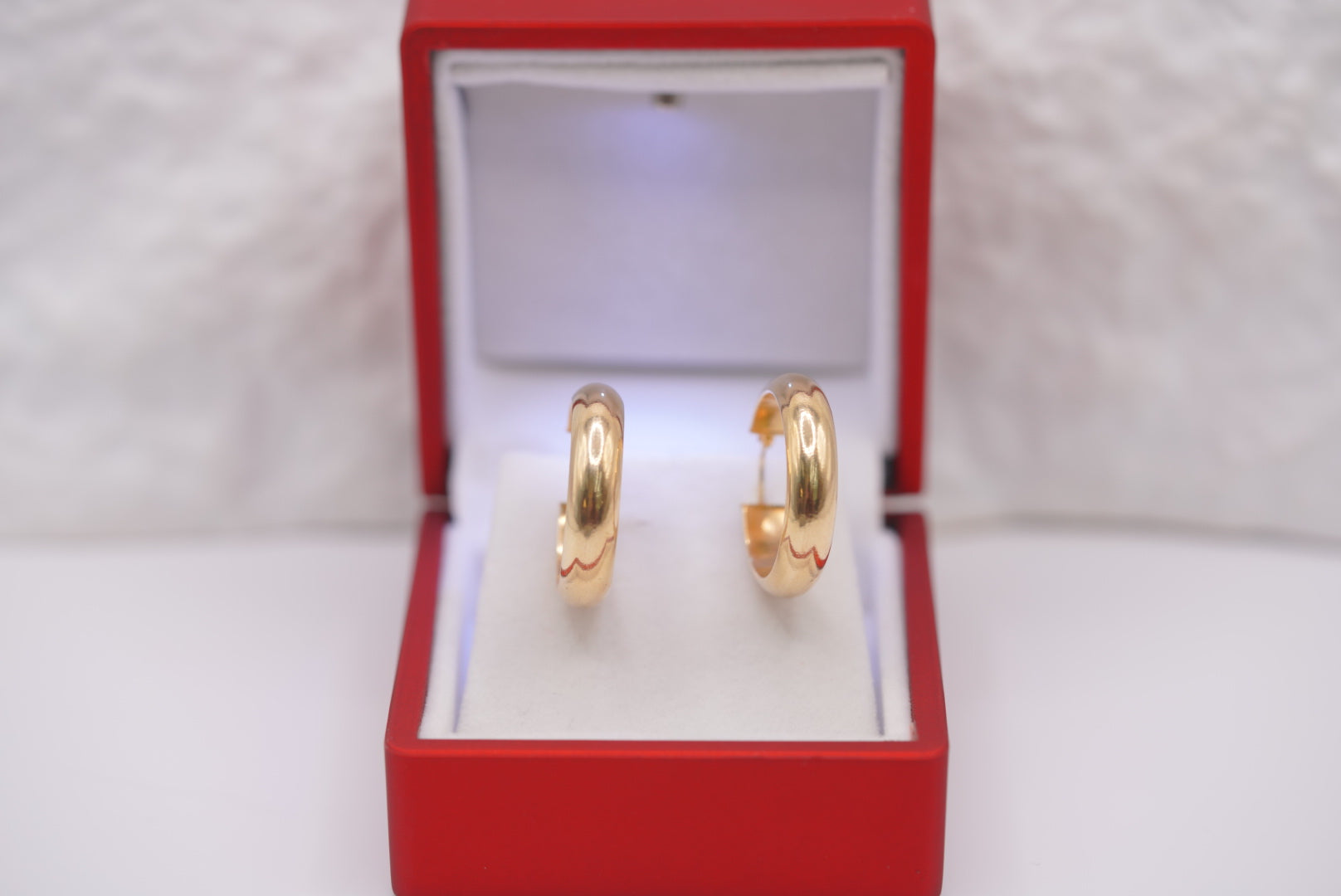 14k Hoop Earrings - Golden Halo