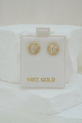 14k Earrings - Classy Shine