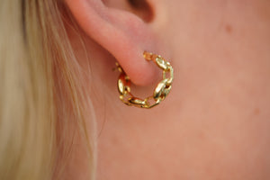 14KT Mariner Earring