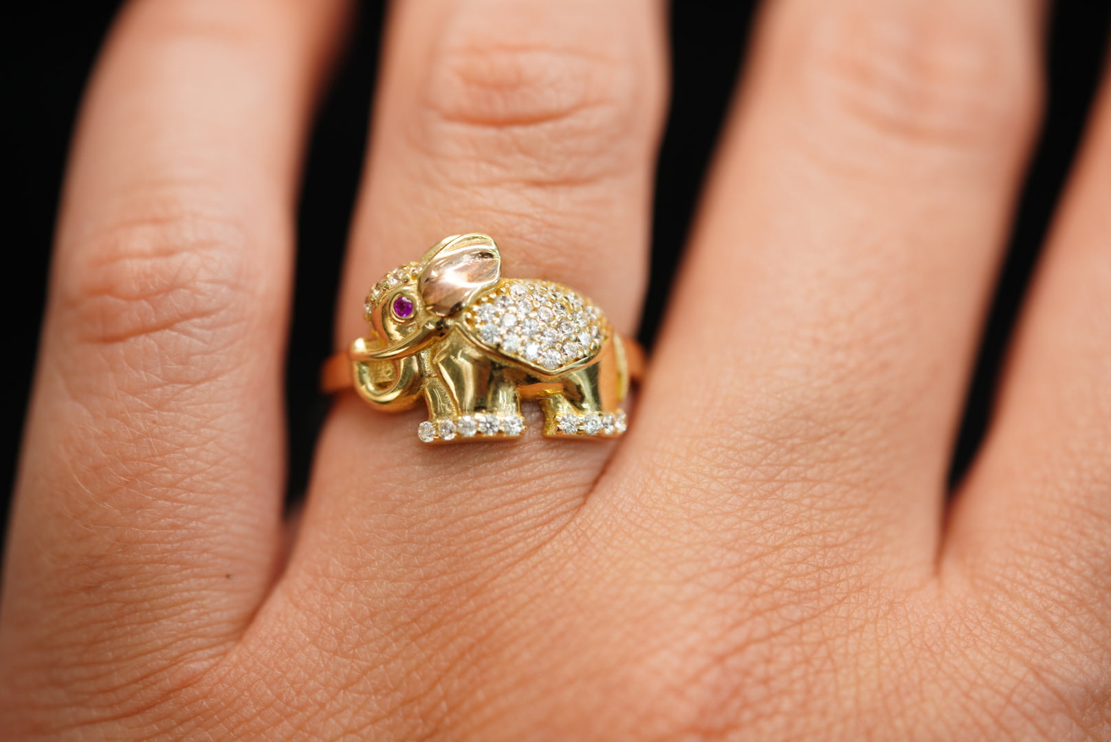 10k Elephant Ring